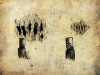 425864_377475698934100_1000005716_n