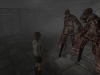 imagen-22
