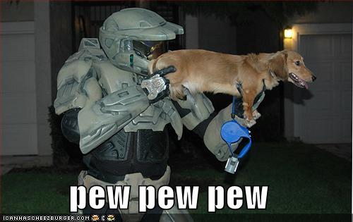 funny-pictures-halo-dog-pew1
