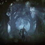 The Witcher 3: The Wild Hunt Galería 5