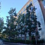 Oficinas de Insomniac en Los Ángeles