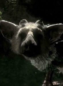 The Last Guardian para PS3 aparece en PSN